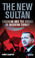 Book Cover - The New Sultan